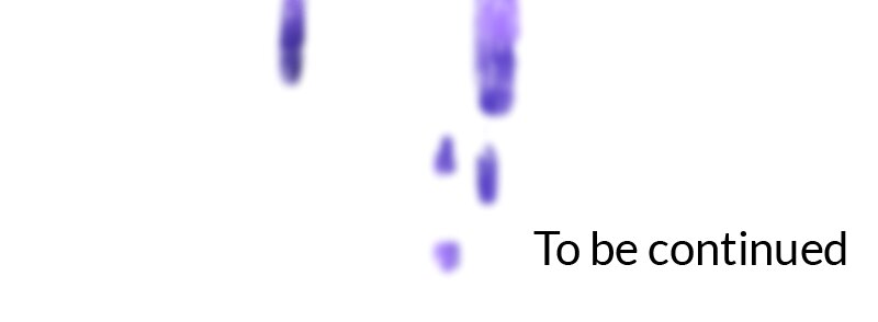 64956266 800 294 10567